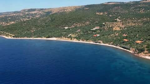Yeşil Liman — Deniz, Korubaşı | Assos Ayvacık